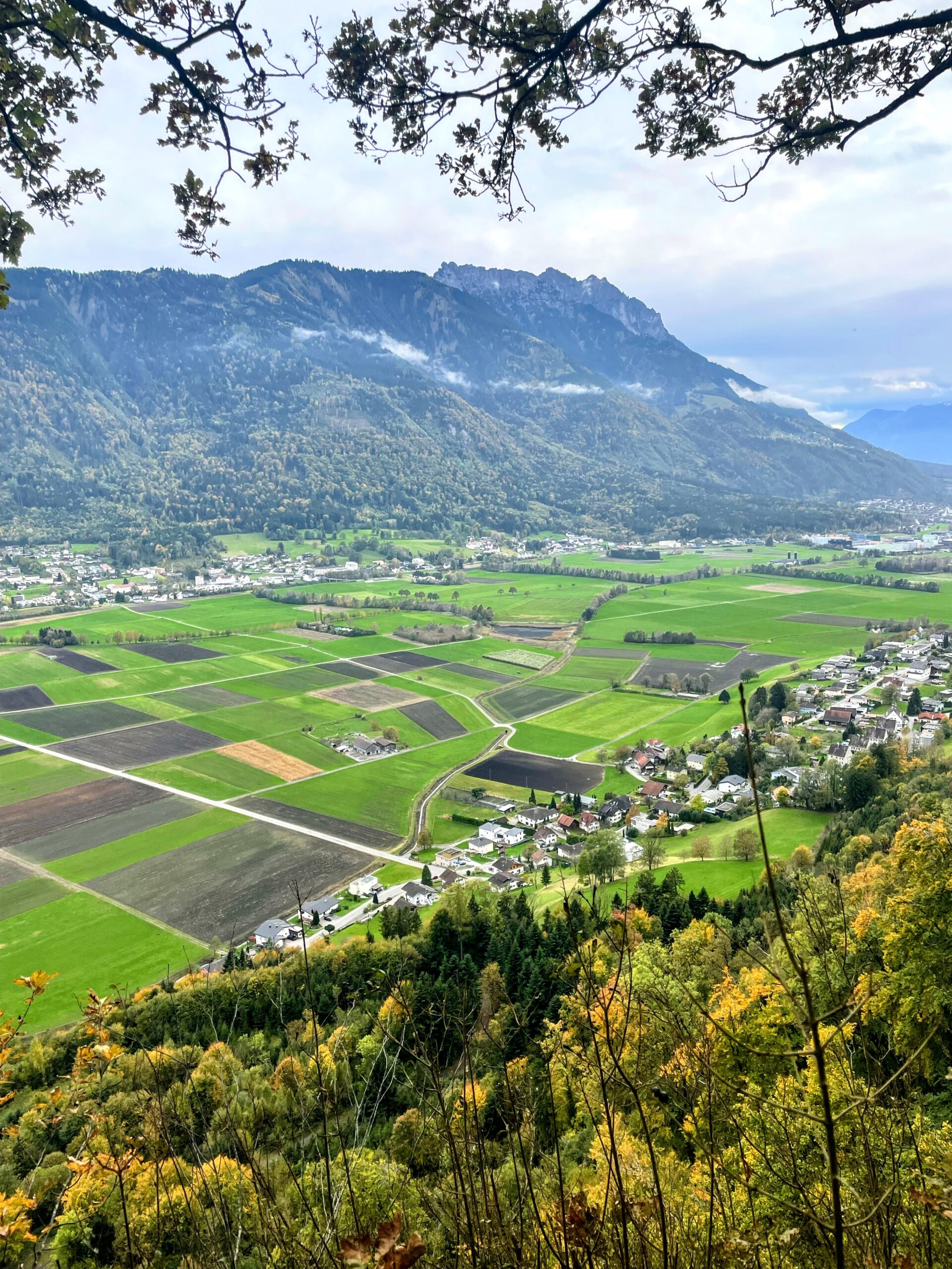 Wurz und Zirp Rundweg