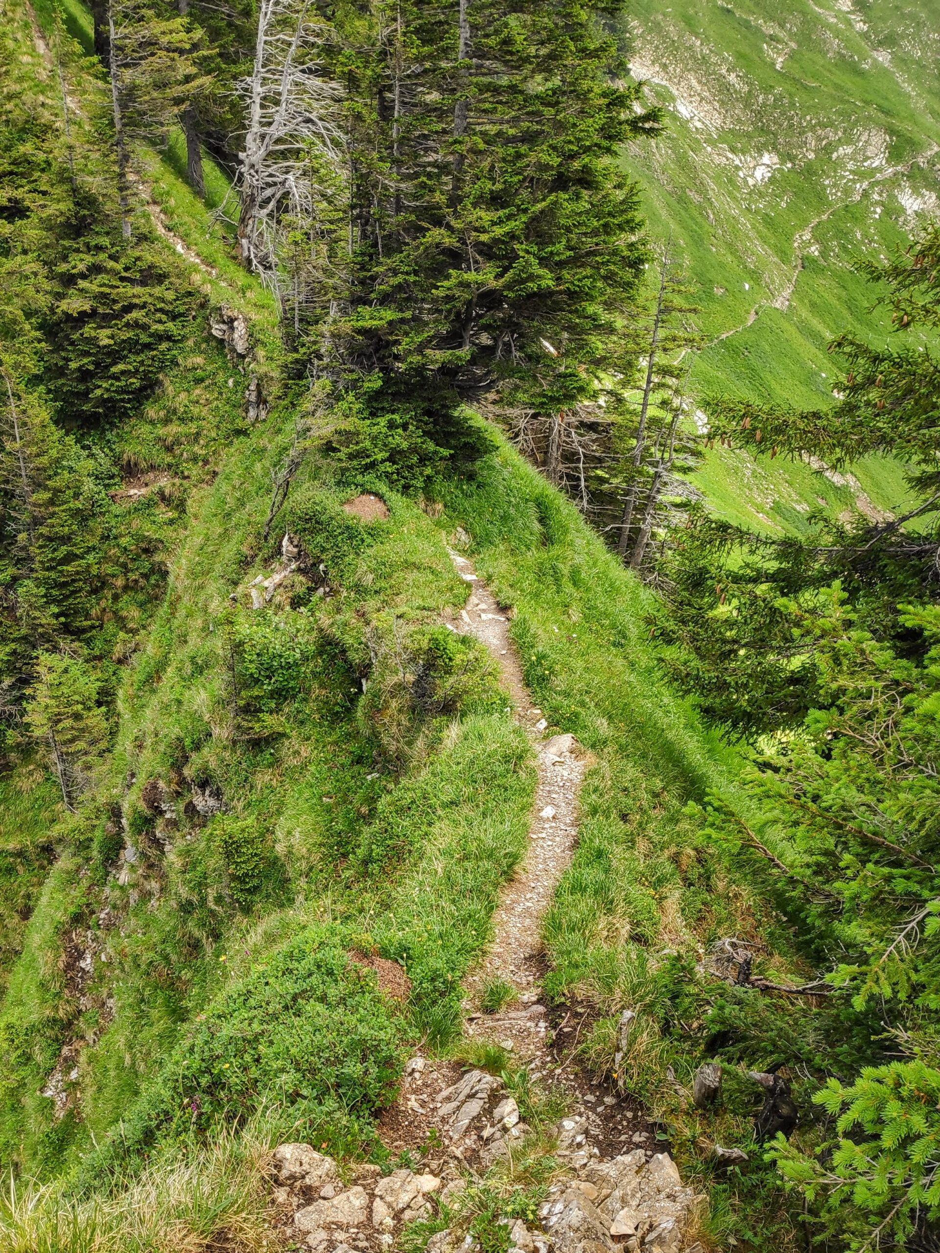 Hochgerach (Laternser Kreuz)